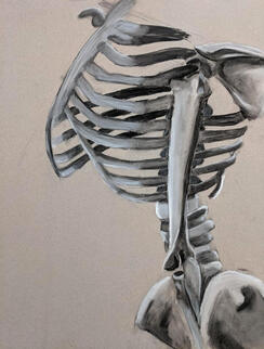 Charcoal drawing of a ribcage as the focus